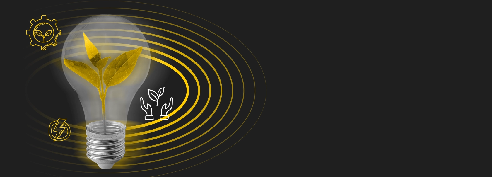 پایداری و سرمایه گذاری اجتماعی