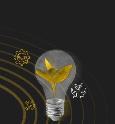 پایداری و سرمایه گذاری اجتماعی