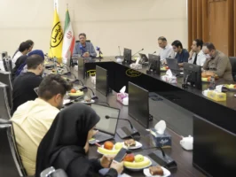 مدیرعامل ایرانسل: توسعه پایدار بدون اصلاح تعرفه ممکن نیست